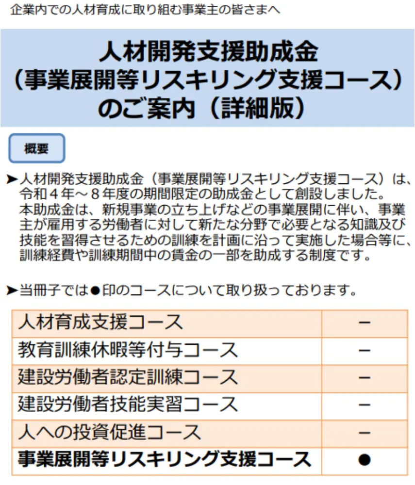 事業展開等リスキリング支援コース令和6年度版パンフレット